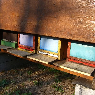 Stand Schlbw 400-40002